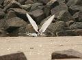 19_DP-2011-023 Bild0209c_A